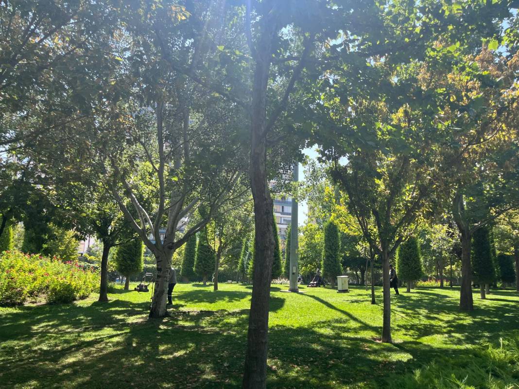 Konya’nın serinleten cenneti: Kanyon Park 12